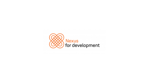 NEXUS FOR DEVELOPMENT