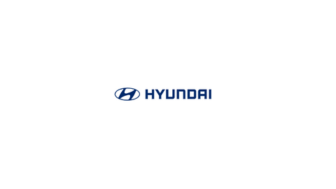 HYUNDAI CAMKO MOTOR COMPANY