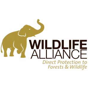 THE WILDLIFE ALLIANCE