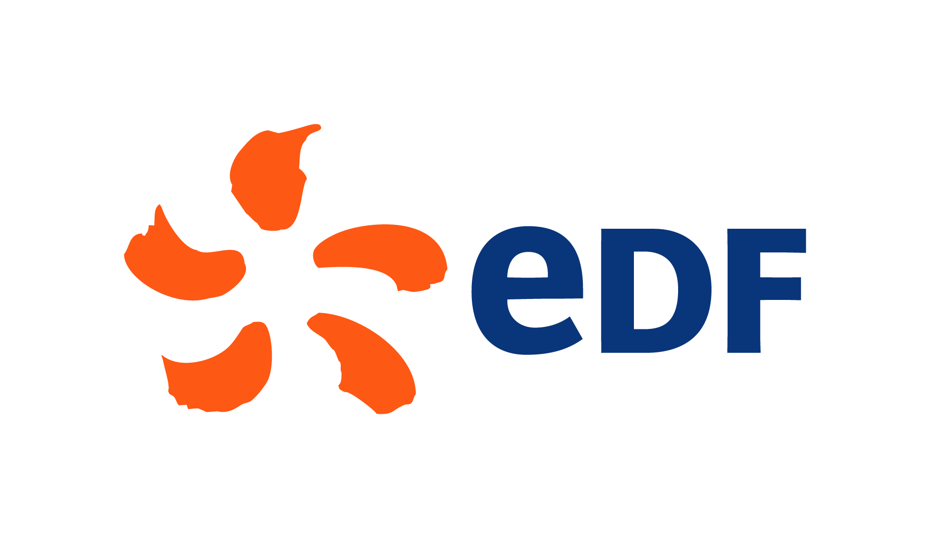 ELECTRICITÉ DE FRANCE (EDF)