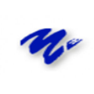 MORISON KAK & ASSOCIES